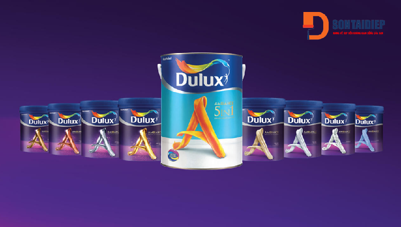 son-dulux-5-in-1-1.png